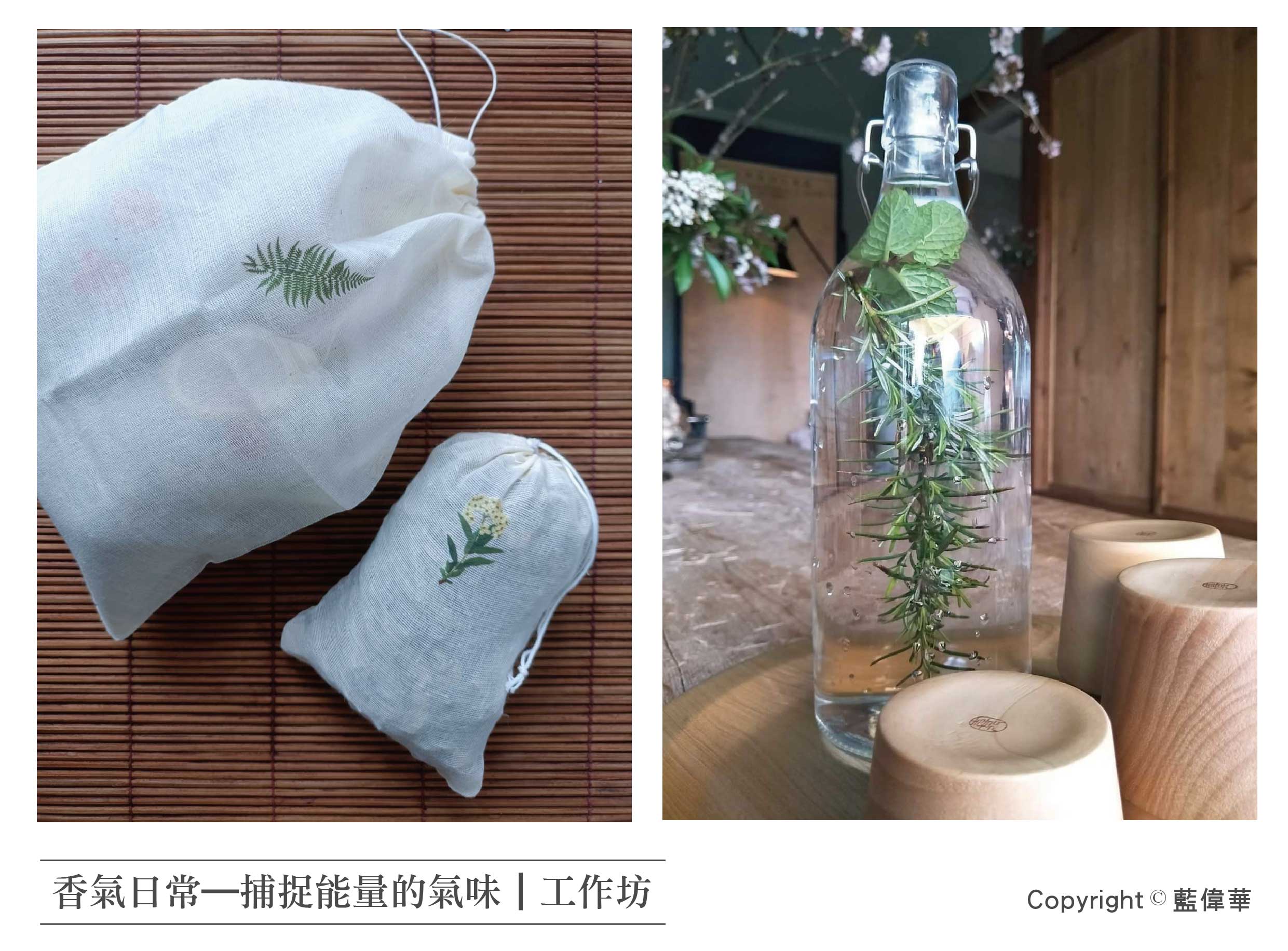 香氣日常—捕捉能量的氣味｜工作坊（作品圖為講師提供宣傳參考，活動當日所使用之植物，依實際品項為準）
