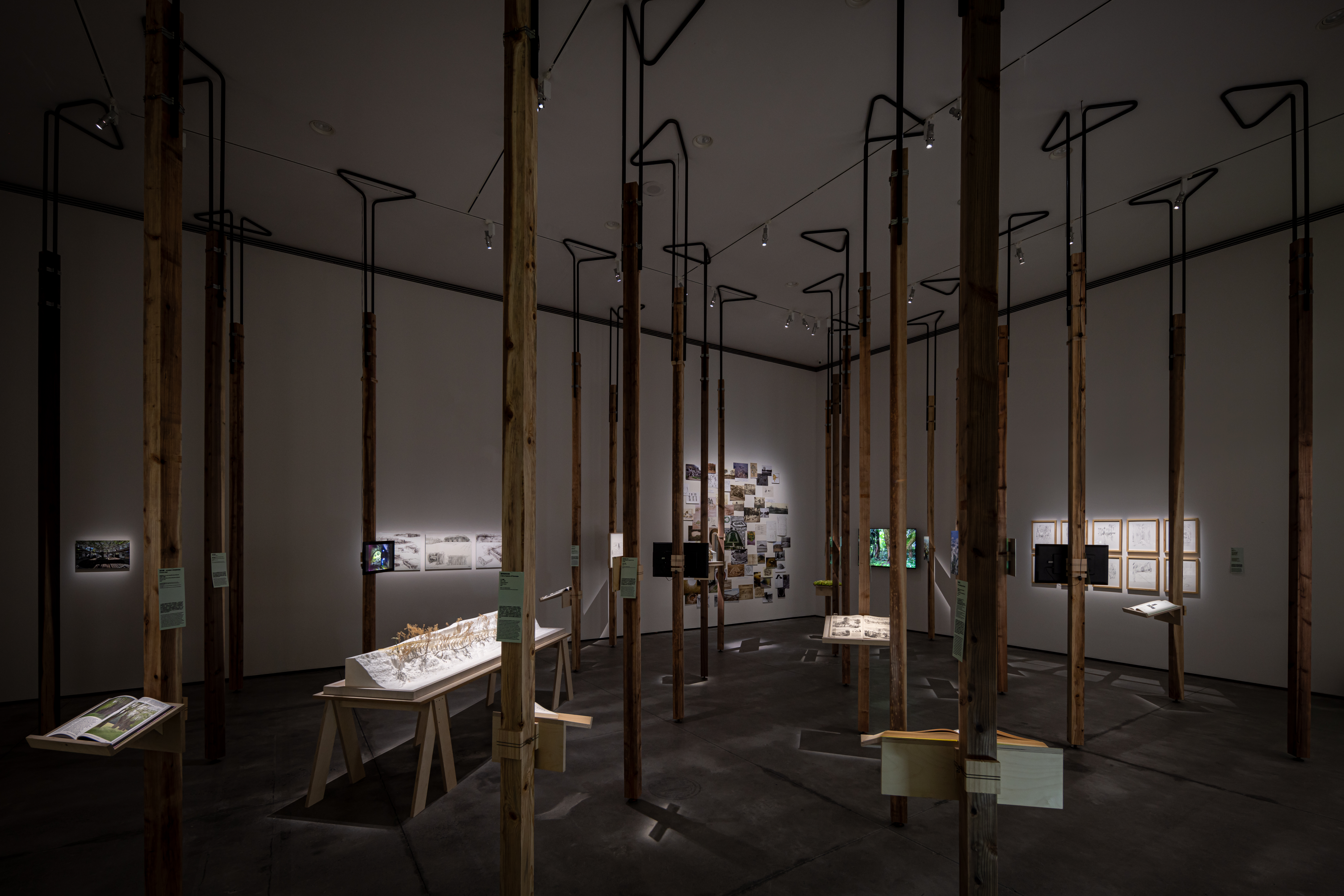 副展｜[ 樹 ] 建築 Arboretum：trees as architecture