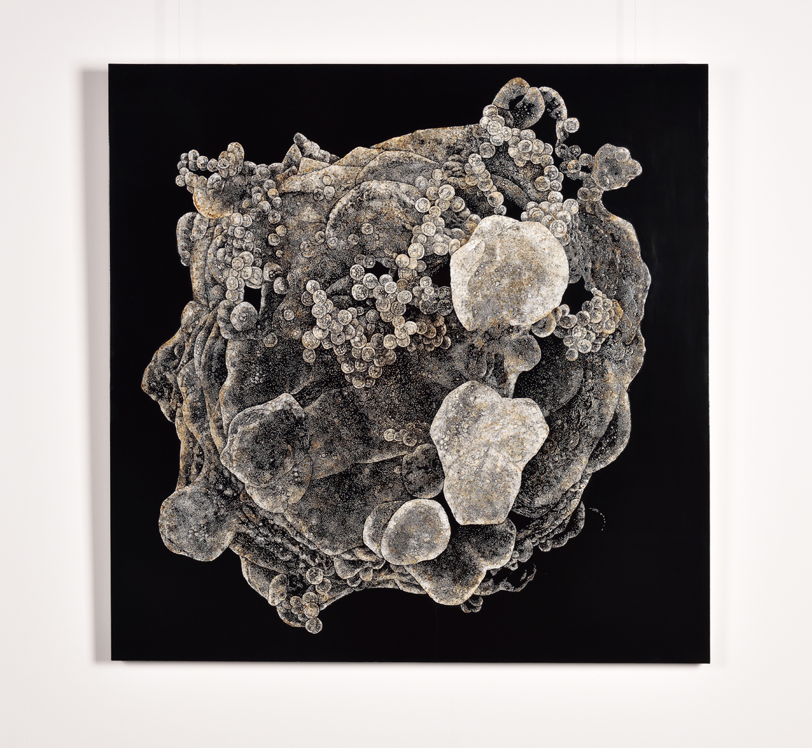 豊海建太，〈HOPE -fossil HIV-〉，漆、蛋殼、鋁複合板，91×91×2 cm。