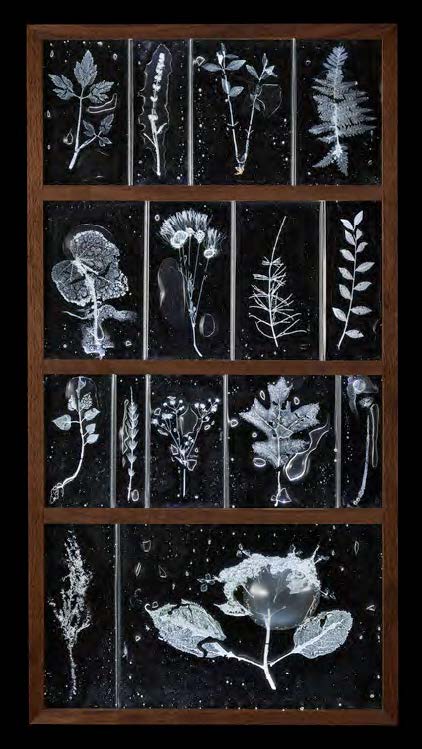 佐佐木類，〈Subtle Intimacy〉，玻璃、植物、LED、胡桃，84×44×17 cm。