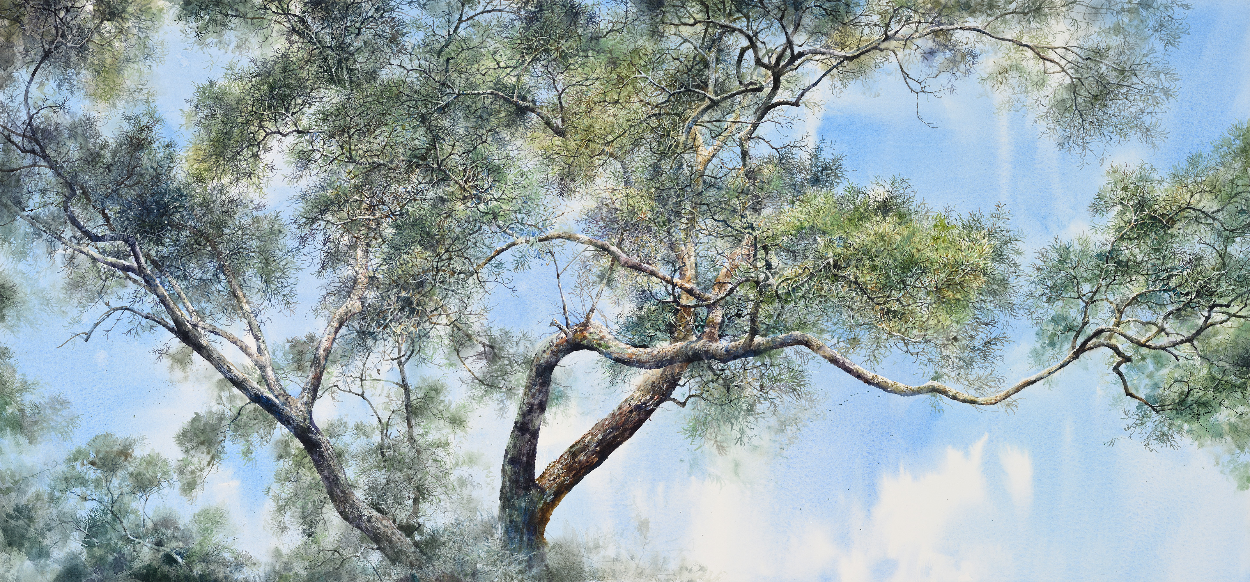 陳俊華，〈相思〉，水彩、紙本，2019，53×110cm