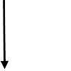 line3.jpg
